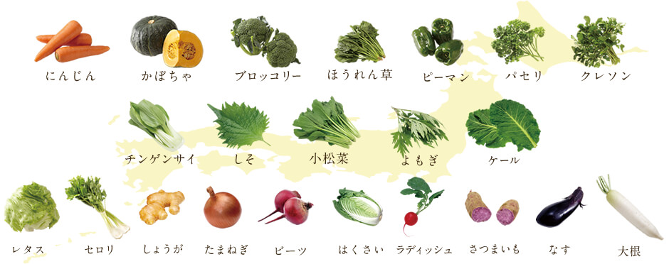 野菜について説明する管理栄養士