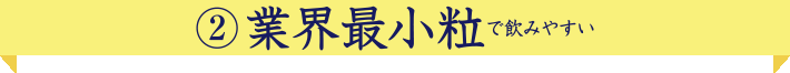 業界最小粒で飲みやすい