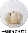 一般的なにんにく