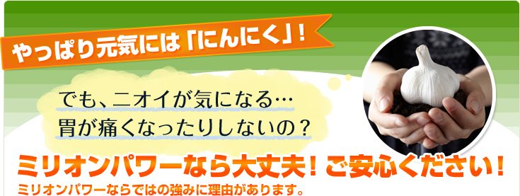 にんにくサプリ・ミリオンパワー