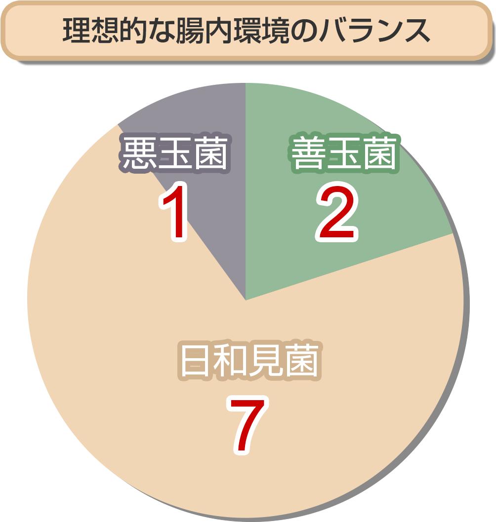 理想的な腸内環境のバランス