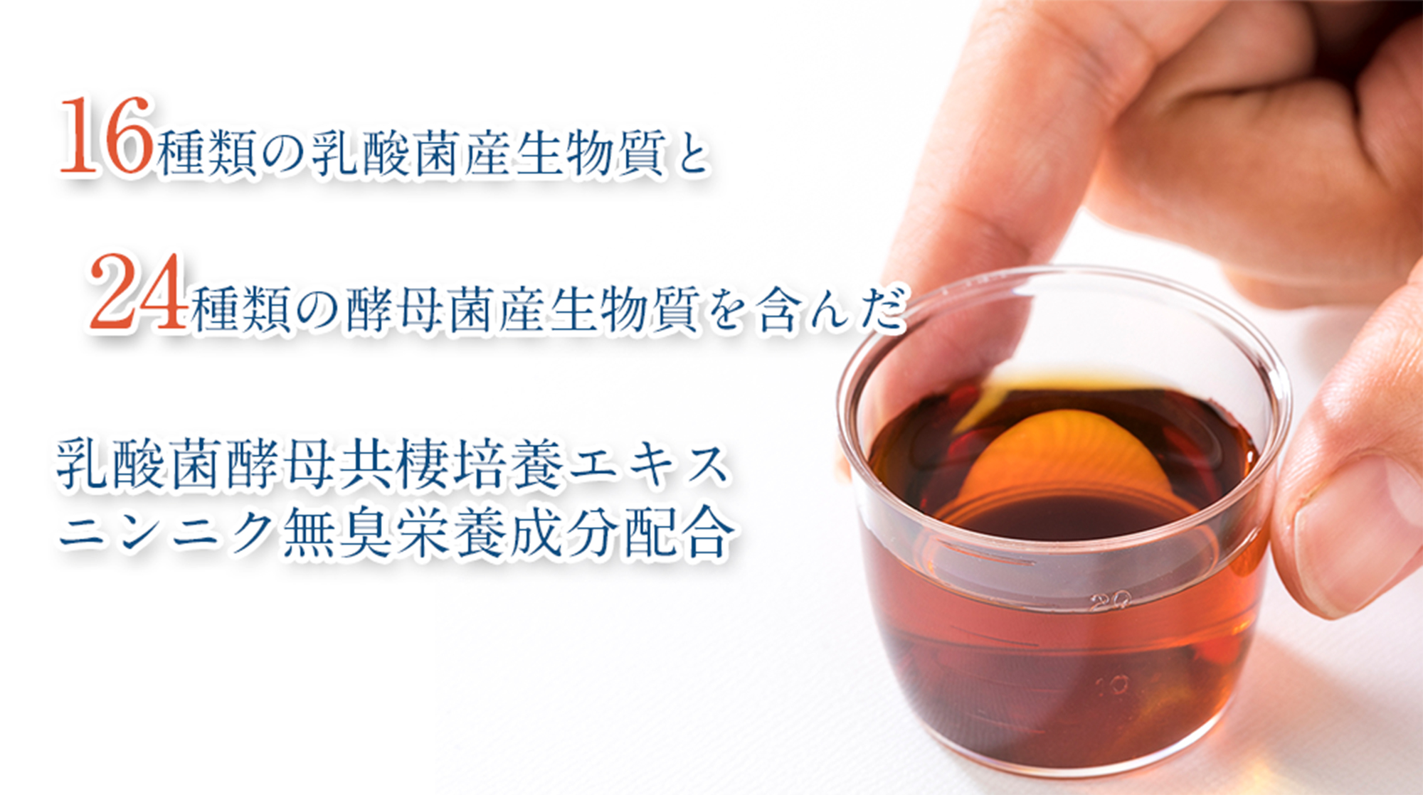 16種類の乳酸菌産生物質と24種類の酵母菌産生物質を含んだ 乳酸菌酵母共棲培養エキス ニンニク無臭栄養成分配合