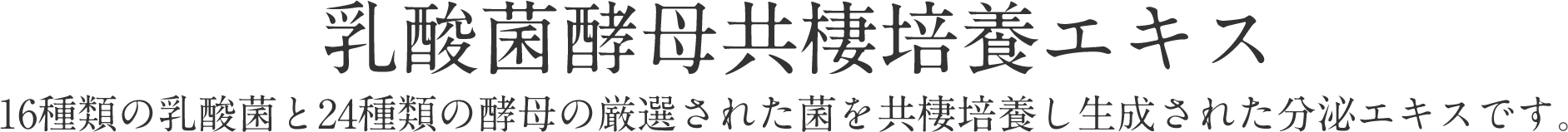 標準タイプのレギュラーと、高濃度のハイグレードがございます。