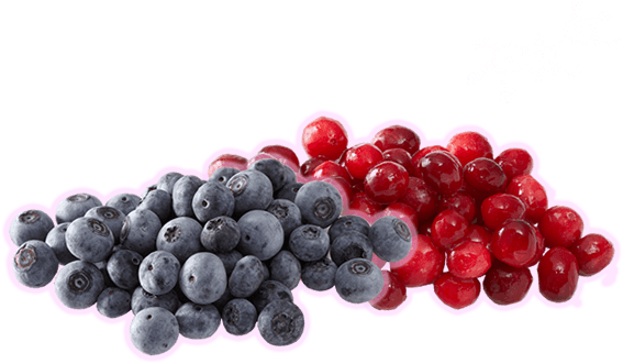 ブルーベリー＆クランベリーのチカラ