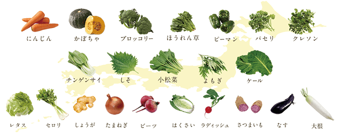 旬の野菜22種類
